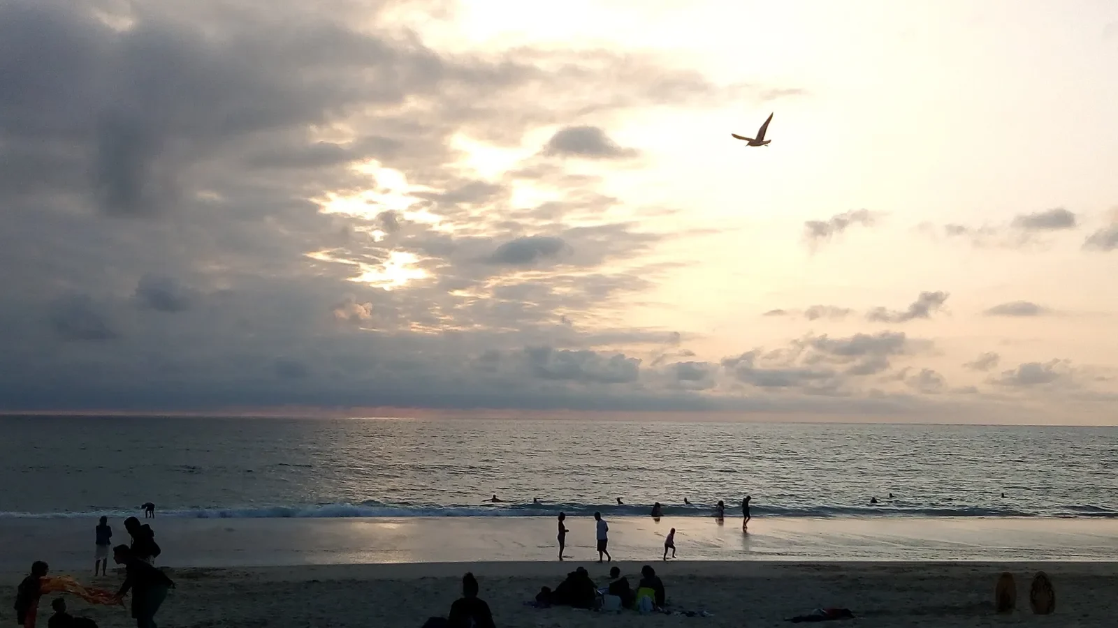 Une mouette traverse le ciel du soir au-dessus de la plage de Capbreton, dans la lumière du coucher de soleil.