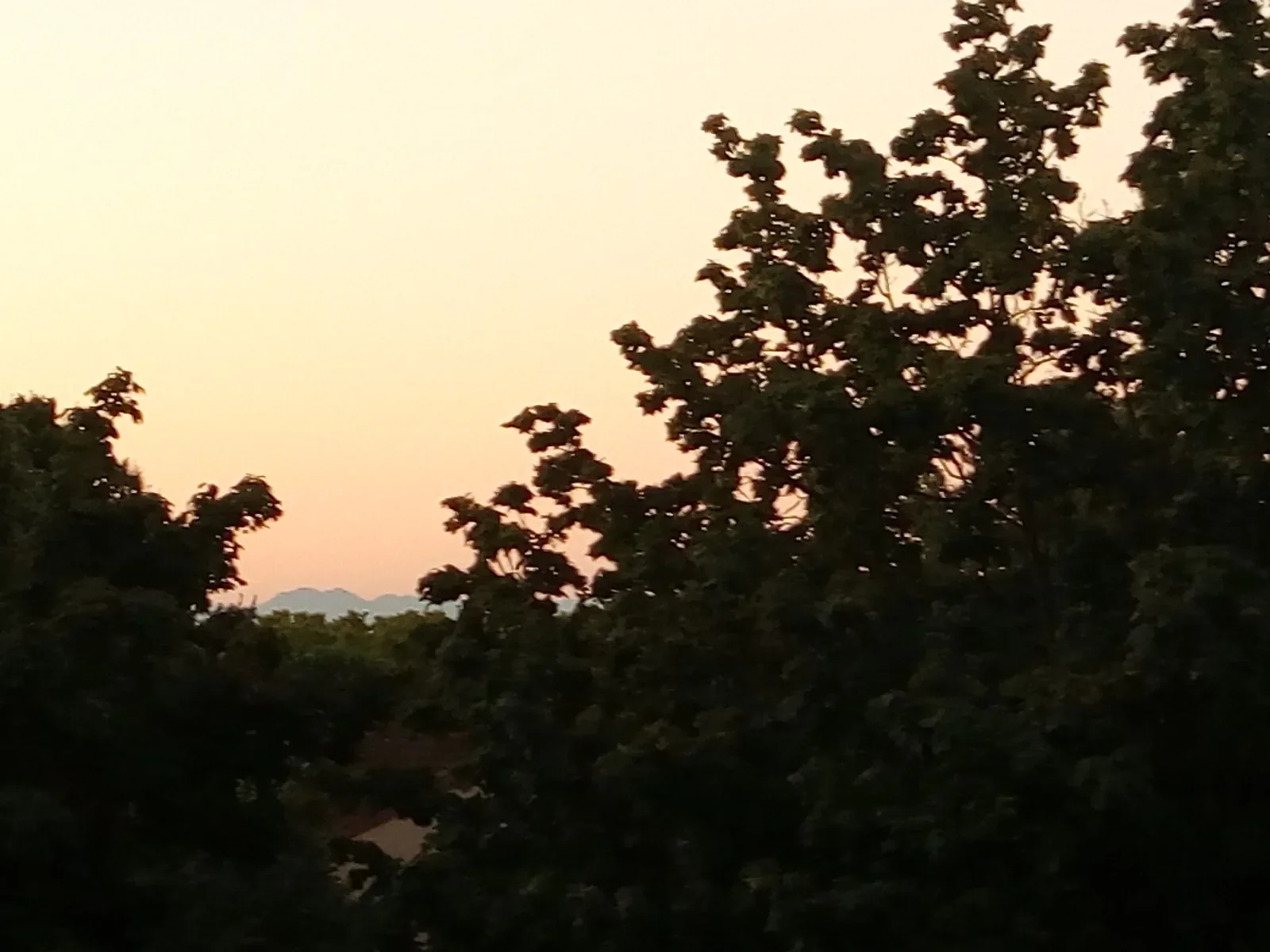 Un coucher de soleil orangé entre les arbres de Toulouse, avec une ligne de relief bleutée à l’horizon.