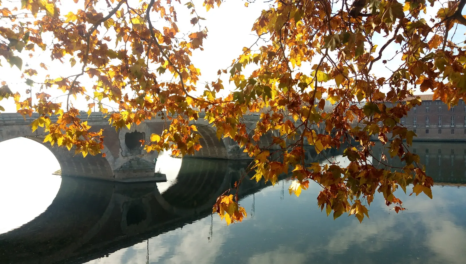 Le Pont-Neuf se reflète dans la Garonne, encadré par les platanes aux couleurs d’automne, à Toulouse en 2019.