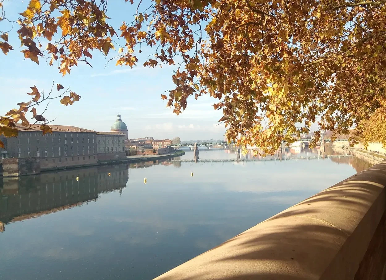 Sur les quais de la Garonne à Toulouse, les platanes dorés mènent le regard jusqu’au dôme de La Grave, à l’automne 2019