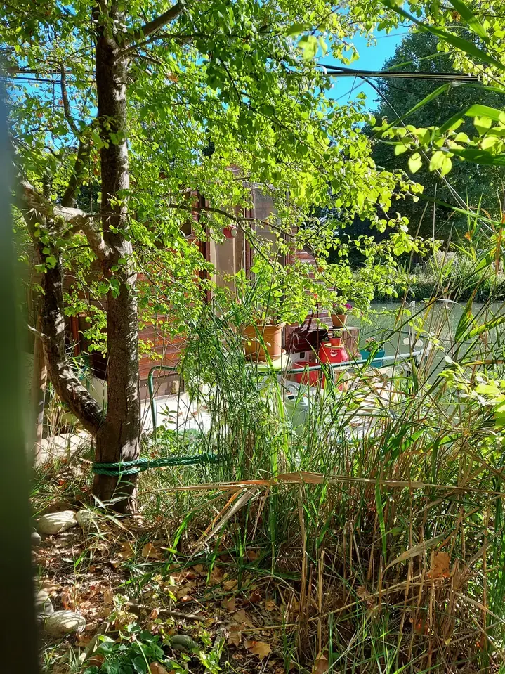 Une péniche en bois cachée derrière les roseaux et les feuillages, sur les bords du Canal du Midi à Ramonville-Saint-Agne.