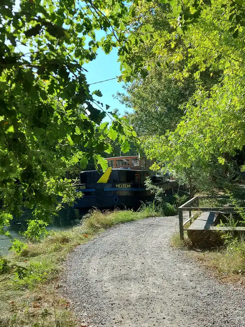 Une péniche amarrée le long du chemin de halage du Canal du Midi, à Ramonville-Saint-Agne, sous les chênes.