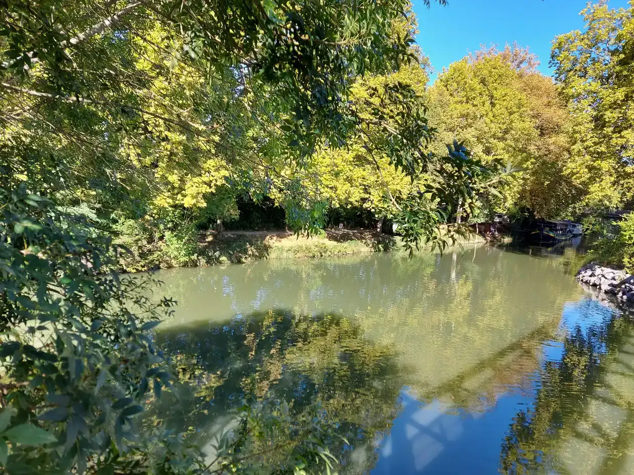 Le Canal du Midi à Ramonville-Saint-Agne, bordé d'arbres aux feuillages dorés qui se reflètent dans l'eau verte.