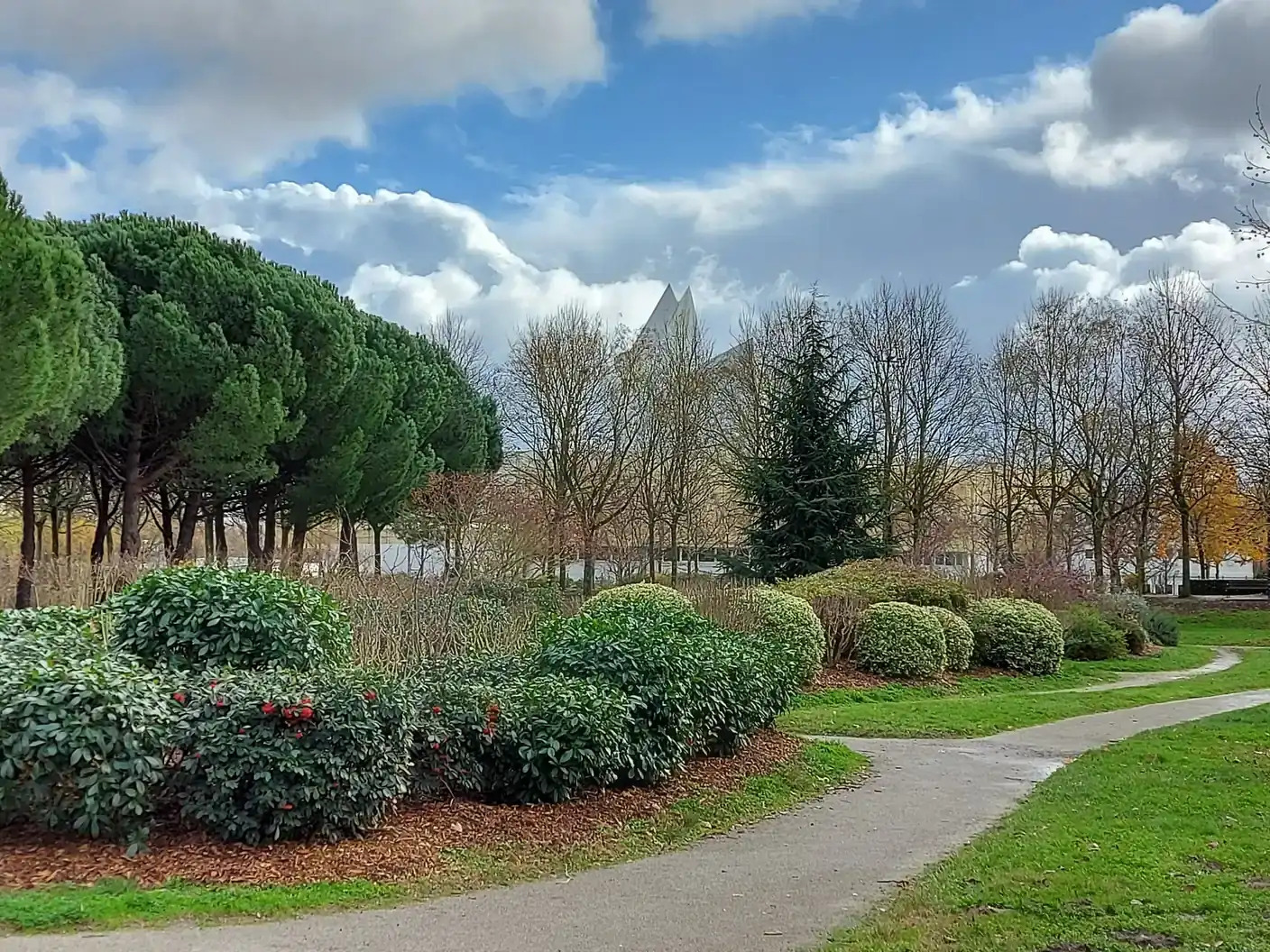 Dans le parc de la Plaine à Toulouse, un chemin sinueux longe les massifs et les pins parasols, avec la Cité de l’espace qui dépasse au loin