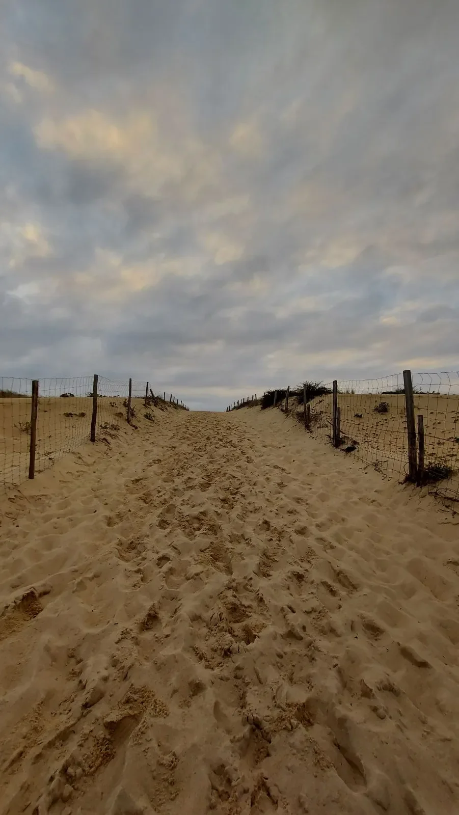 Un chemin de sable entre deux clôtures traverse les dunes de Capbreton jusqu'à la plage, sous un ciel de nuages éclairés.
