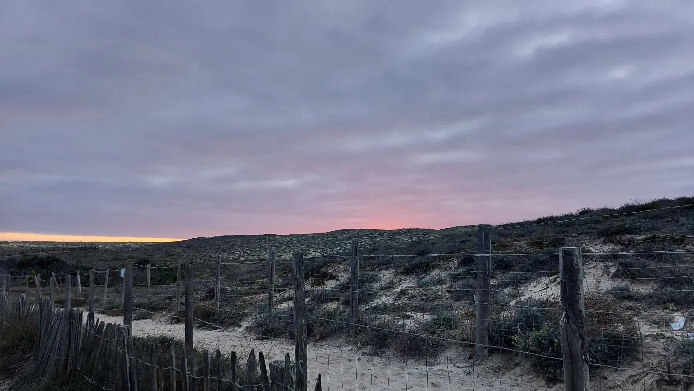 Une clôture de ganivelles et des dunes couvertes de végétation à Capbreton, sous un ciel rose au crépuscule.