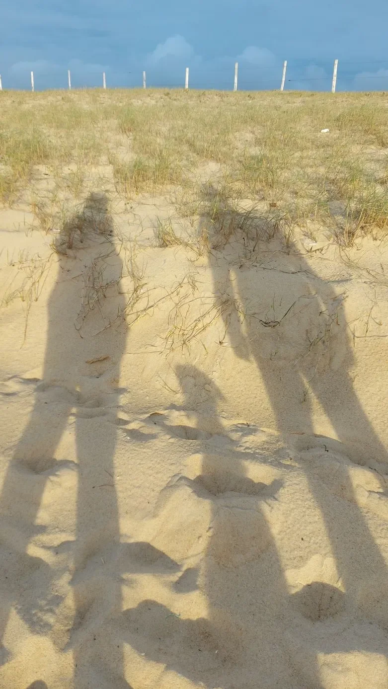 Nos ombres s'allongent sur une dune de Capbreton, dans la lumière rasante de la fin de journée.