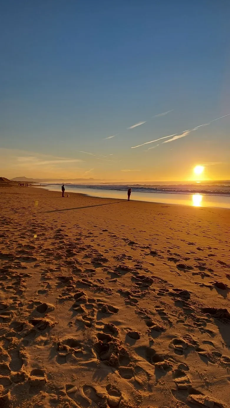 Le soleil se couche sur la plage de Capbreton : des silhouettes de promeneurs et un chien se détachent sur le sable doré.