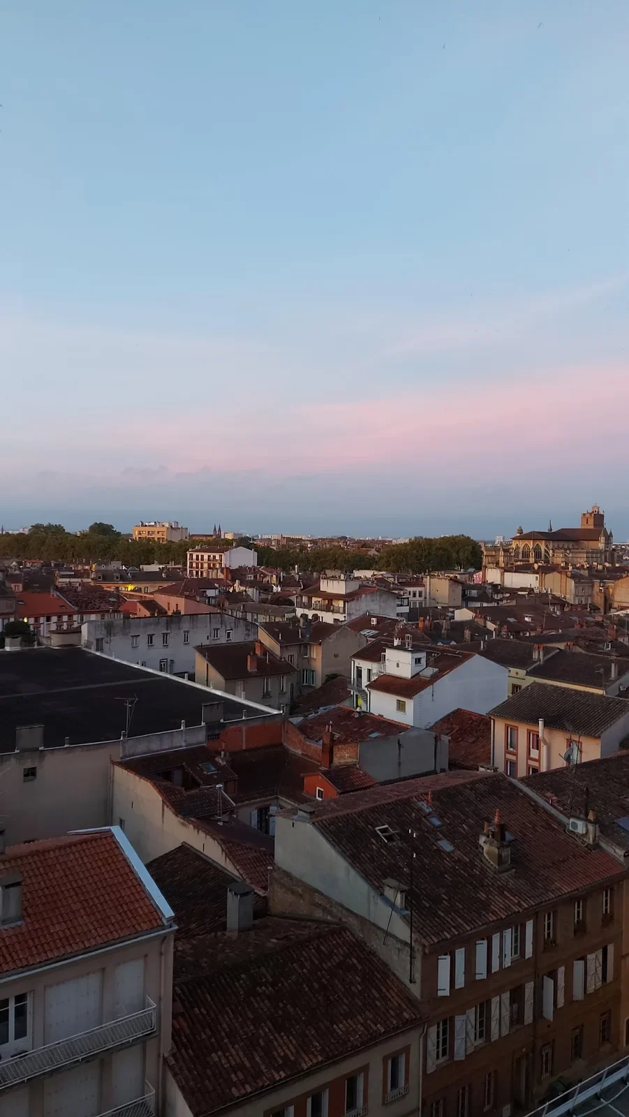 Toits de briques roses de Toulouse sous un ciel bleu pastel et rose, avec la cathédrale Saint Etienne à droite