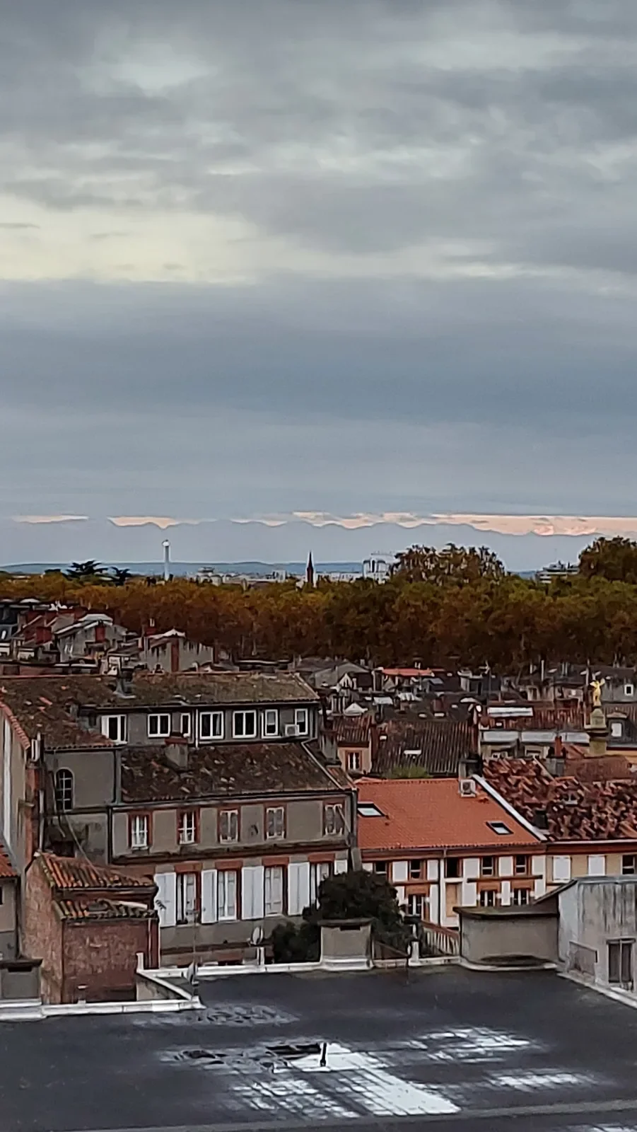 L'automne arrive : les platanes se dorent, le ciel se couvre, une bande rose s'ouvre au fond.