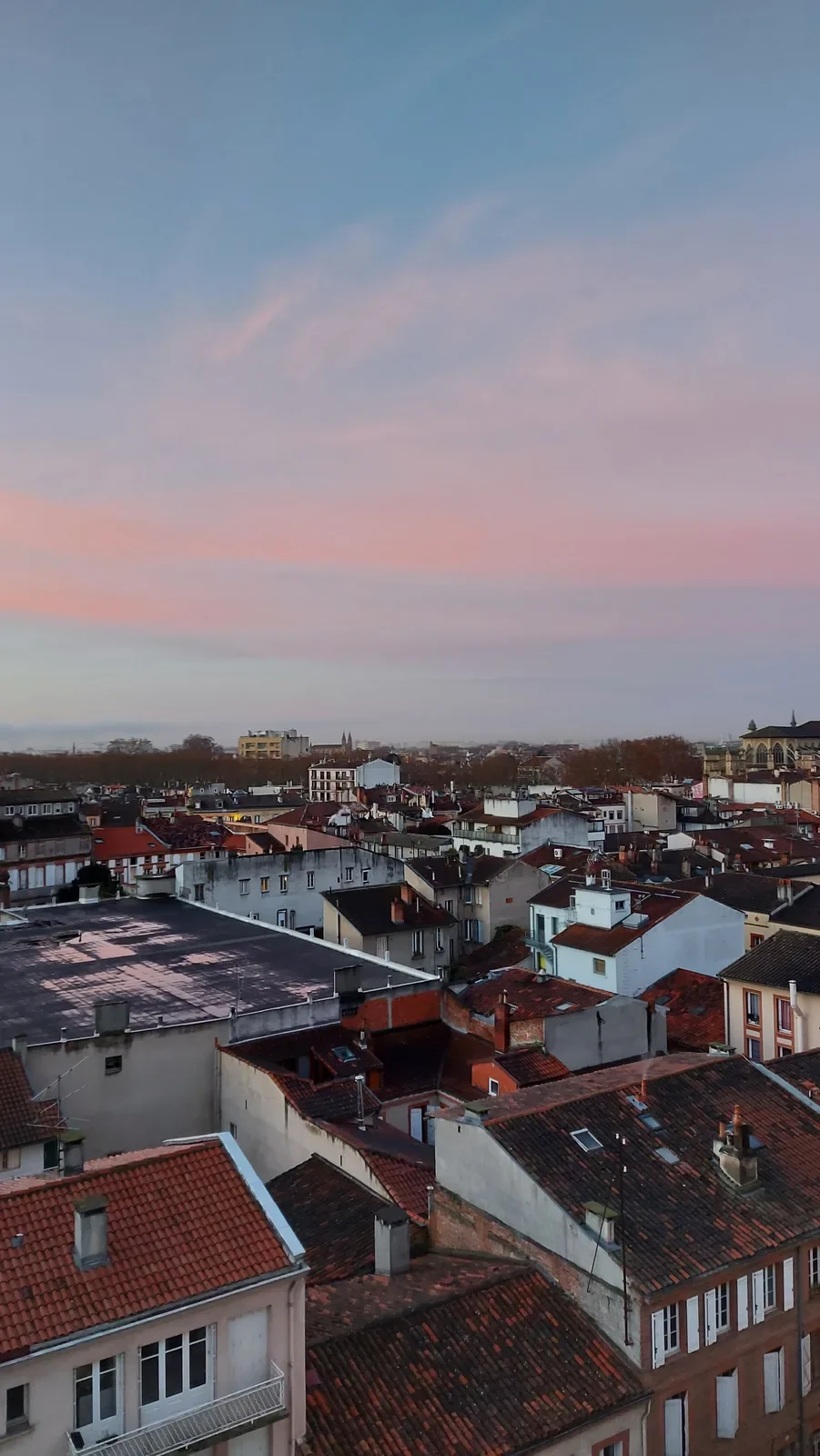 Un matin d'hiver rose, les arbres nus au fond.