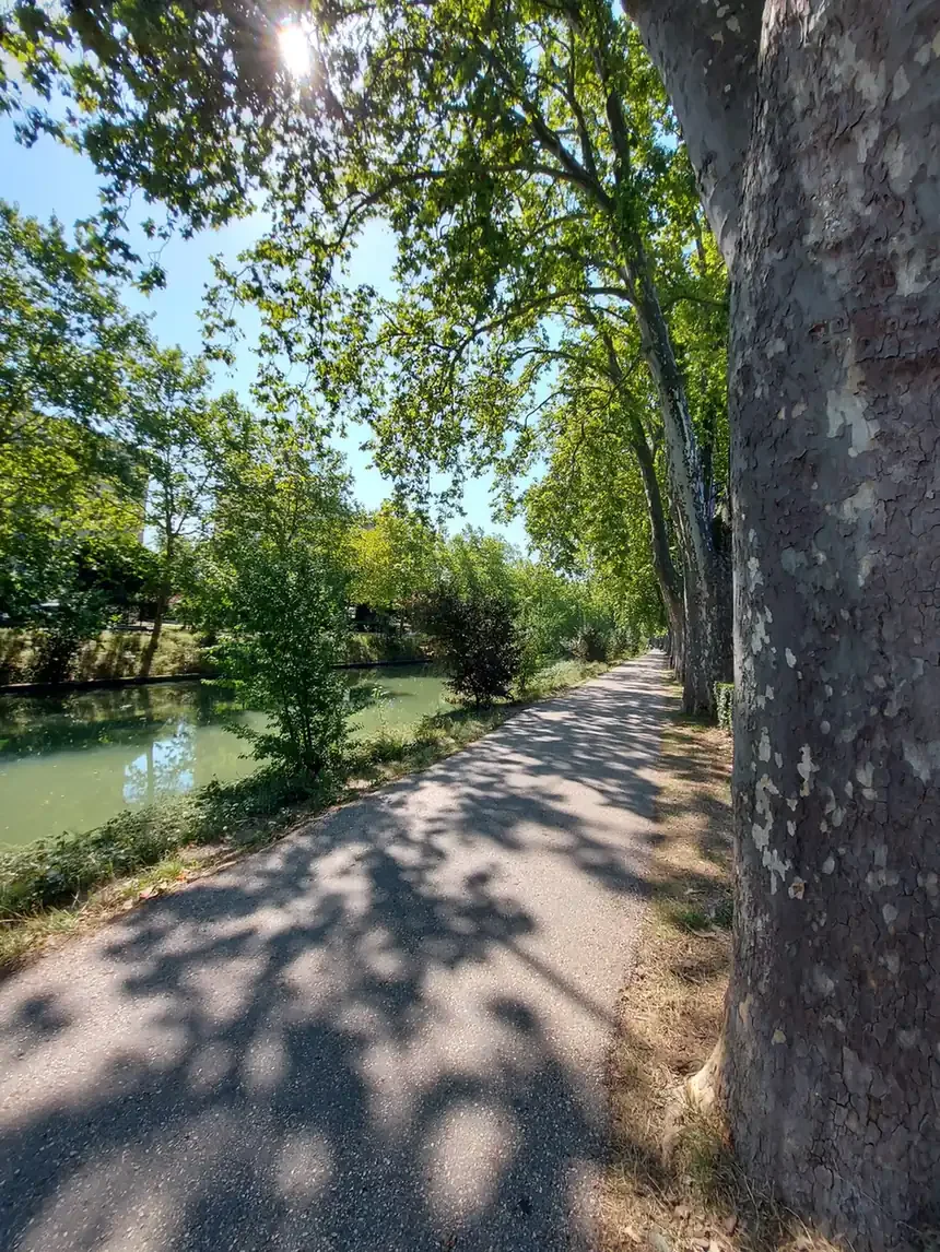 La voie verte et ses platanes : le grand classique du canal du Midi.