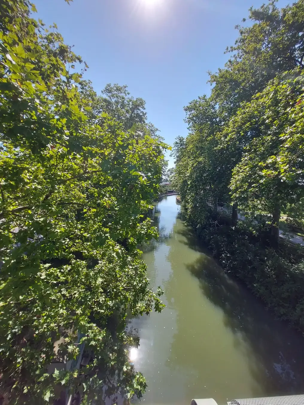 Le canal du Midi vu d'un pont, bordé de platanes et baigné de soleil