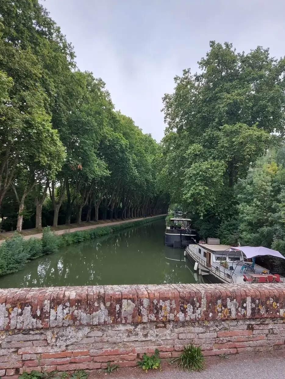 Le canal du Midi vu d'un pont de brique rose, avec des péniches amarrées sous les platanes