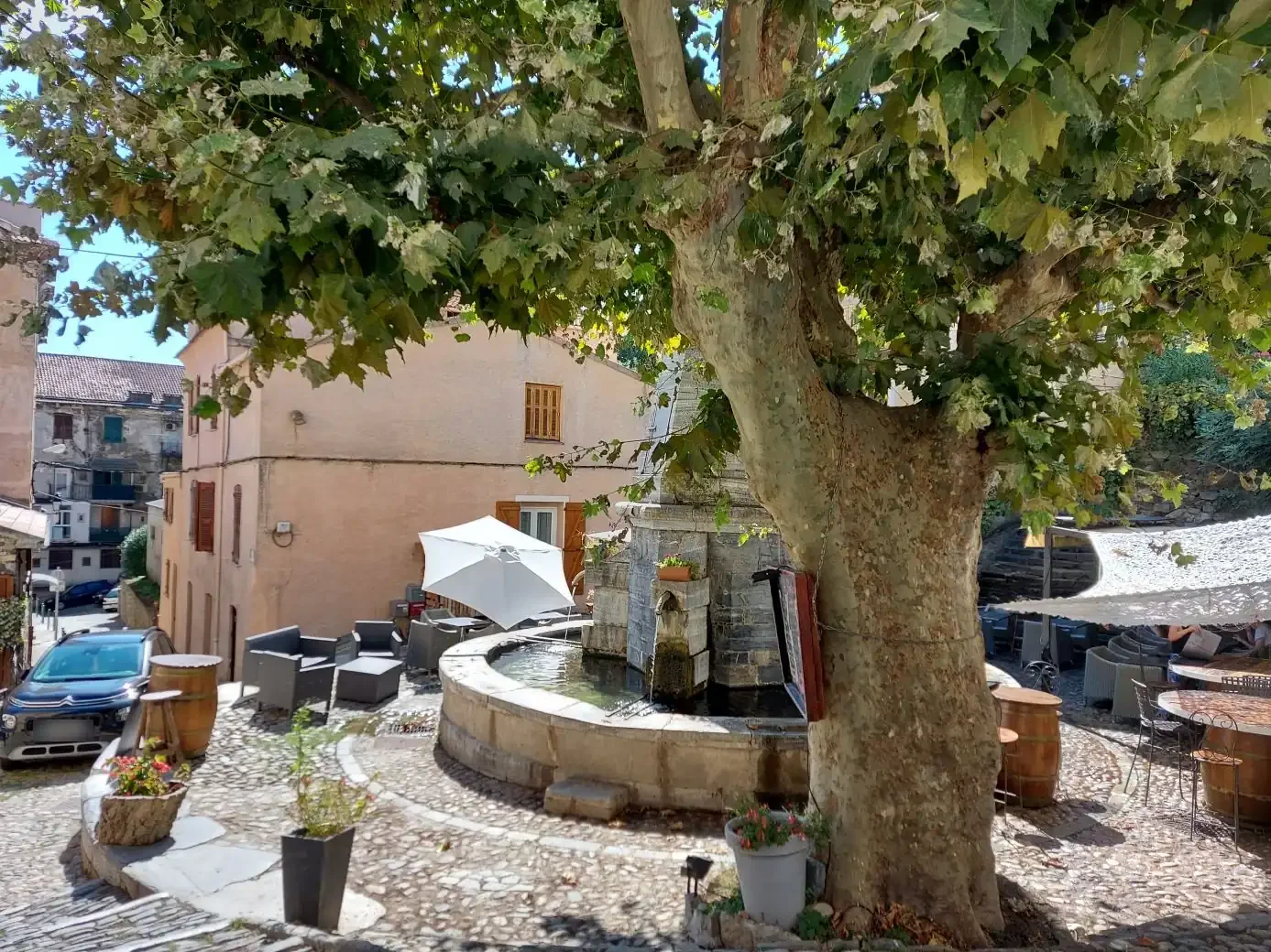 Fontaine de pierre sous un platane sur une placette pavée avec terrasse de café, à Corte