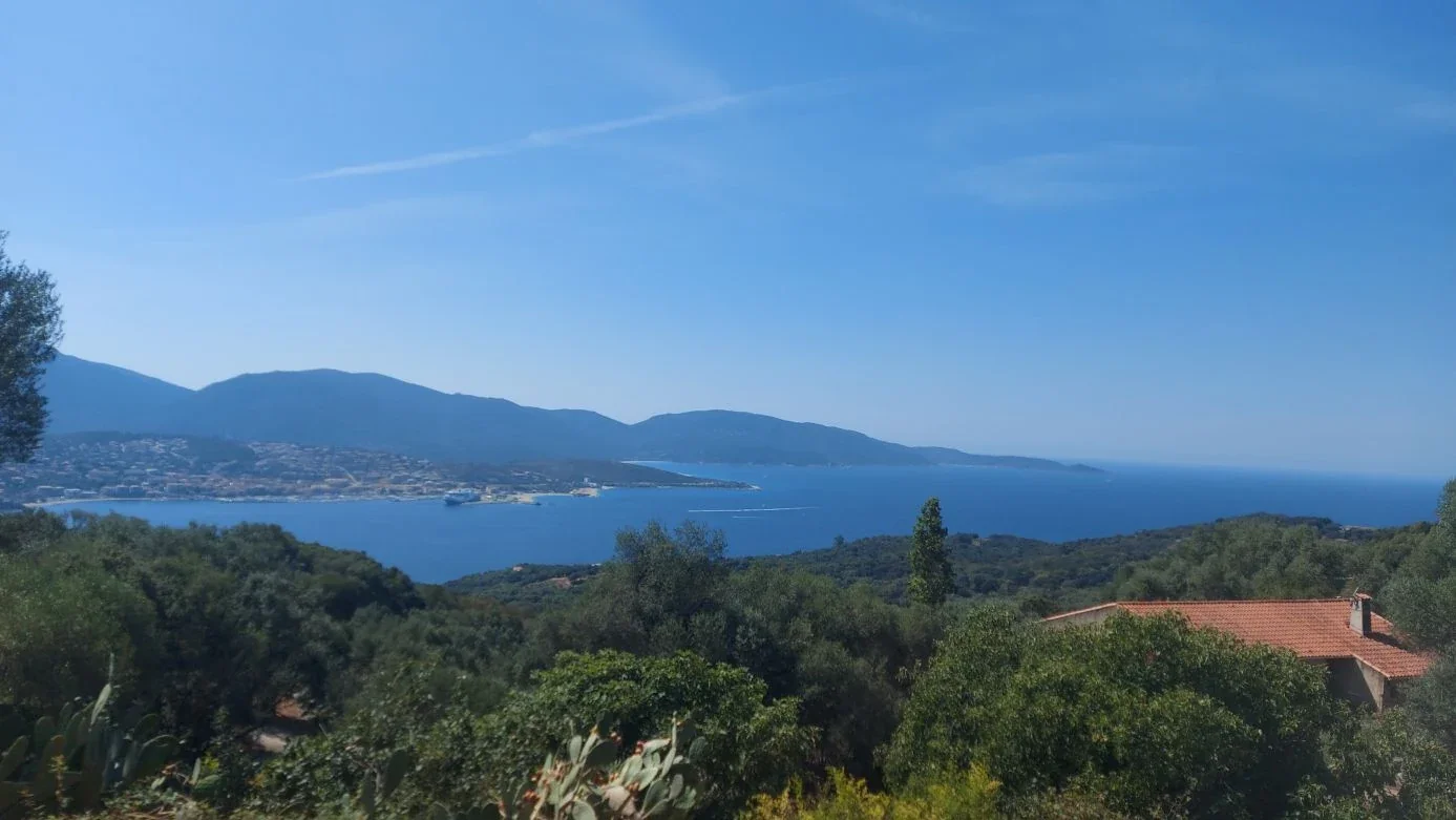 Vue sur le golfe d'Ajaccio et un ferry depuis les hauteurs, maquis au premier plan