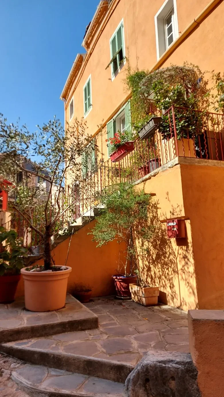 Façade orange avec volets verts, escalier et olivier en pot, à Corte