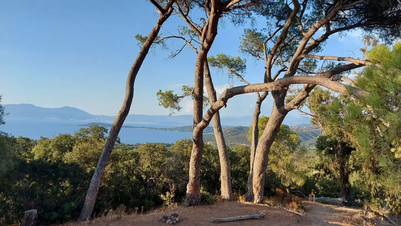 Une halte à l'ombre des pins, avec le golfe d'Ajaccio en contrebas.